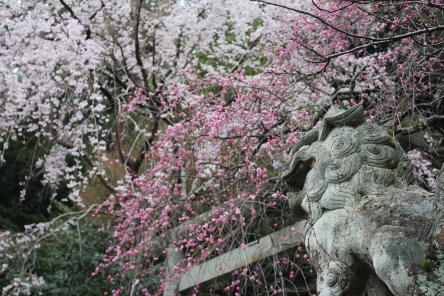 大豊神社の概要